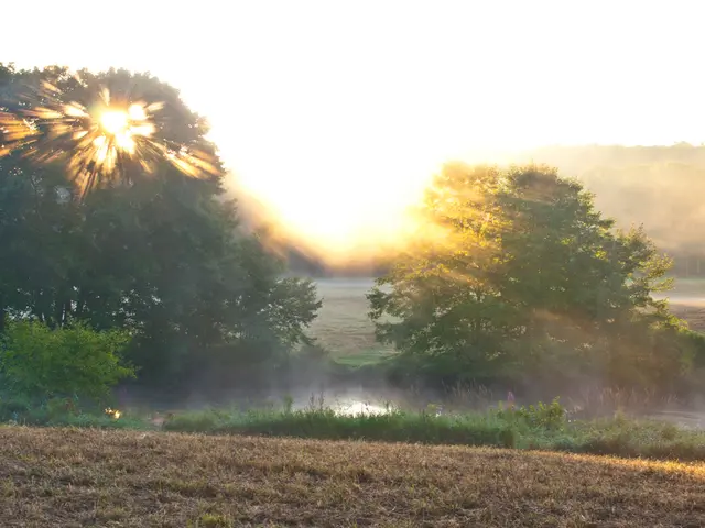 United Kingdom Establishes a New Investor Group for Emerging Markets