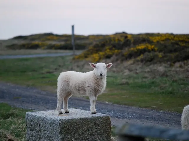 Earning more than 4% on your cash through the use of a Stocks and Shares ISA