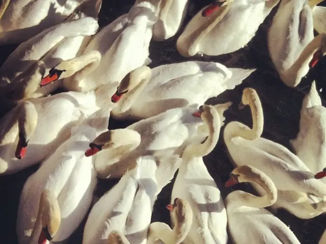 Mortgages handled by Pepper for investment funds underwent refinancing in a duration of 19 months,...