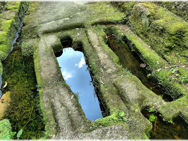 Fast-fashion retailer Shein penalized with a €1 million fine by Italian authorities over...