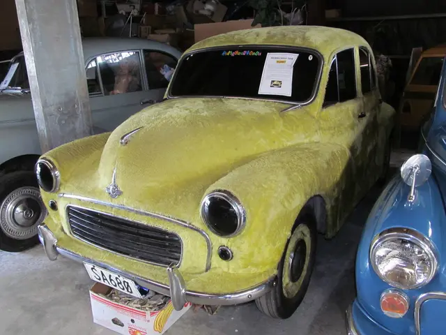 Romanian Environment Minister unveils rescued automobile scrappage program worth RON 200 million...