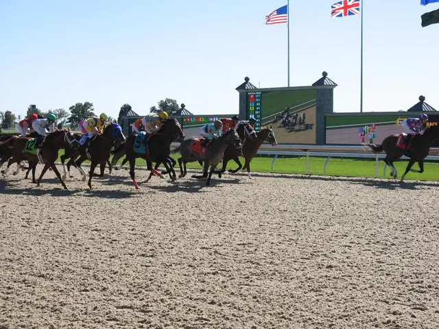 Understanding Takeout Rates: Importance for Horse Betting Enthusiasts