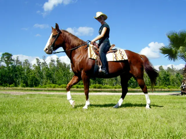Equity holders dispute Equinor's adherence to Paris Agreement guidelines prior to Annual General...