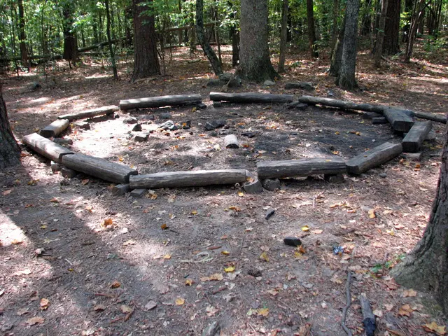 Forestry sector receives support measures, as announced by Carney