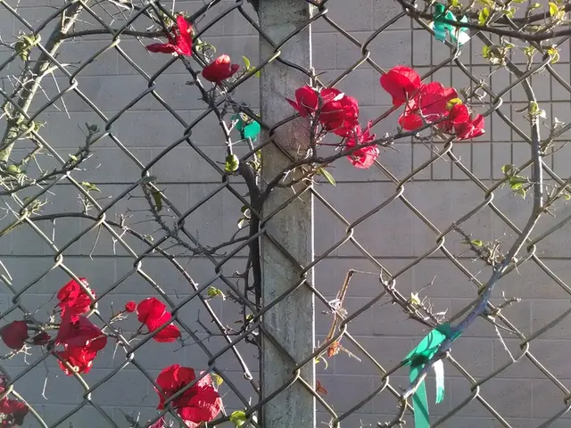 Tough changes in Romania's fiscal plan unveiled by the finance minister.