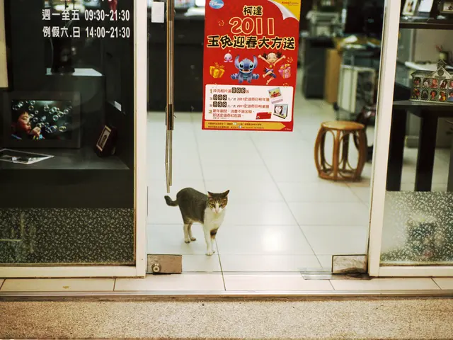 Interest Rate Adjustment: Decrease of 6 Basis Points in 5-Year Adjustable-Rate Mortgage as of...