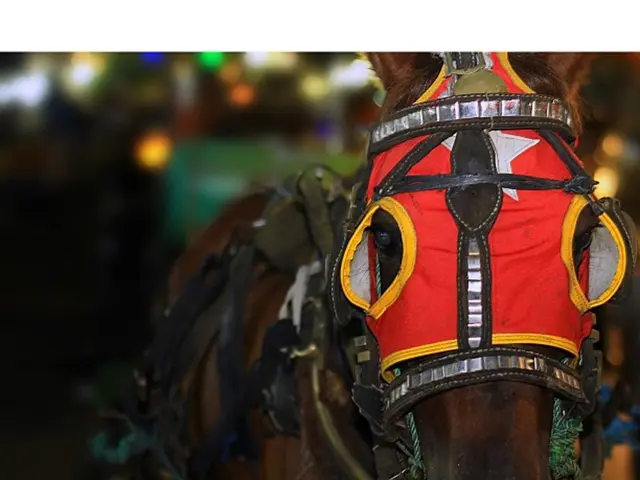 Real Estate Values Skyrocketed over a 12-month Period