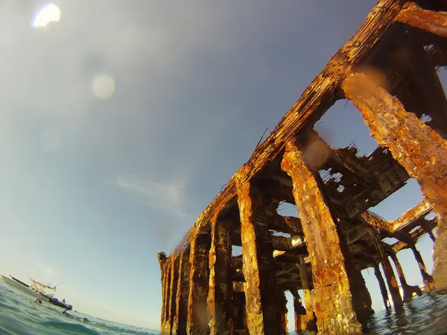 Shipping container rates remain unaffected by the recently passed tariff deadline