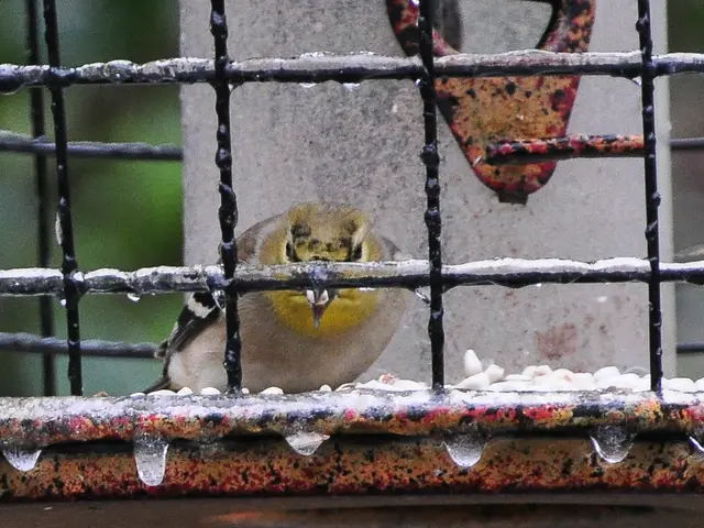 Reserves held by the Central Bank of Turkey decrease by $2.9 billion following a five-week stretch...