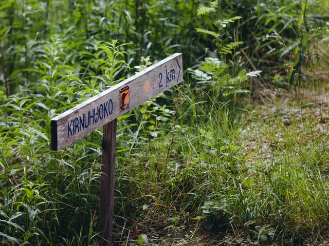 Board Position Vacancy: Chair Position Open for Applications