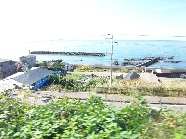 Investing in Exchange-Traded Funds (ETFs) focused on sustainability, supporting environmental,...