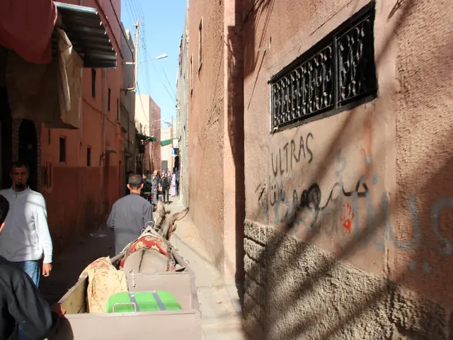 Zimbabwean Finance Minister Honored as Best African Minister of Finance Amidst Ongoing Economic...