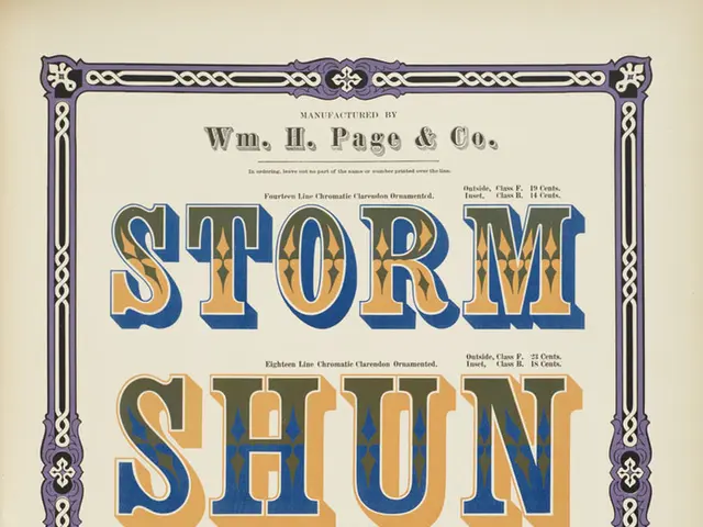 Design Inclusivity: Meanings, Guidelines, and Showcases