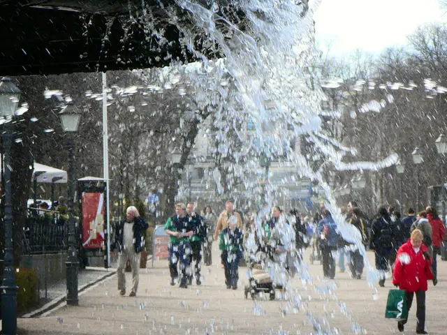 A tree was cut down in Gustav-Stresemann ring due to a burst water pipe