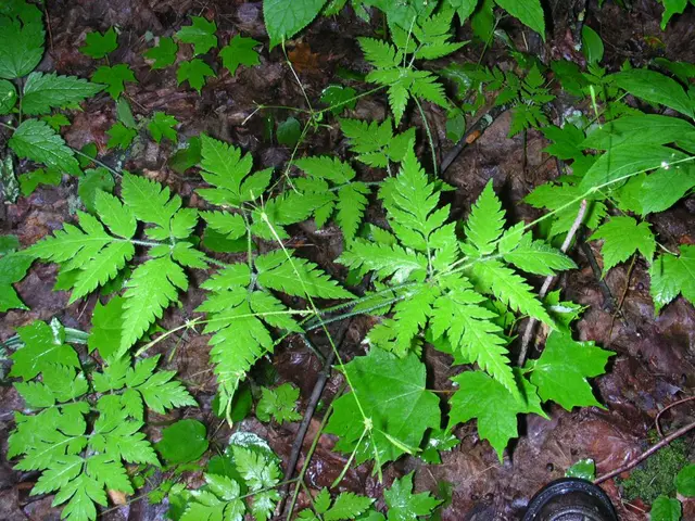 Vietnam needs to convert green pledges into concrete actions