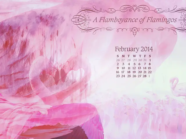 next scheduled release of Consumer Price Index report