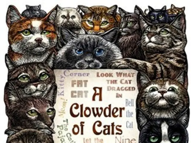 Dogecoin overcomes crucial resistance level due to growing ETF expectations and increased whale...