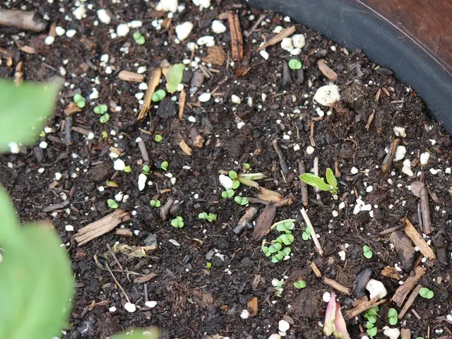 Federal Environmental Protection Agency under scrutiny for allegedly manipulating soil test...