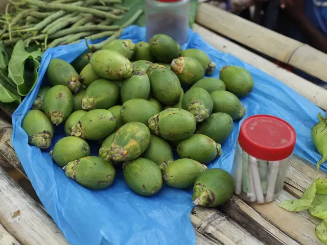 Expanding Kraft Lignin Market Projected at a Compound Annual Growth Rate of 7.2% by 2034