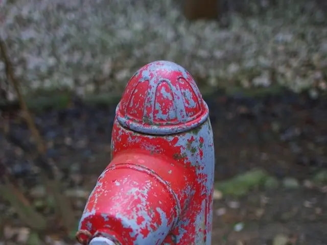 Regulatory shake-up prompts Ofwat's CEO to step down from office.