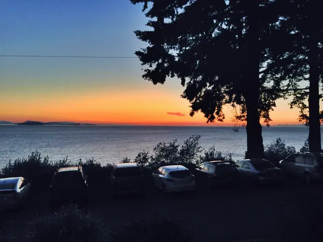 Achieving net zero emissions necessitates attaining outcomes that positively impact nature.