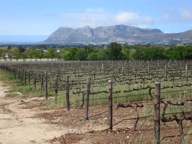 Strategies for Generating Passive Income from Home Suitable for Individuals aged 35-60