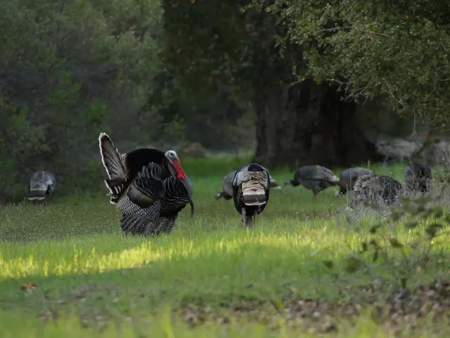 Production of industries increased by 8.3% in June