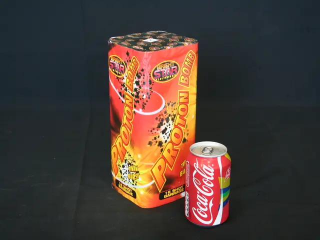 Guide Through Troubled Seas: Procedures for Issuing a 1099 Without a Social Security Number