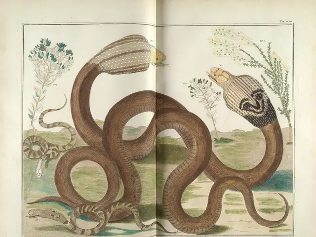 Mahindra opens a new assembly plant in South Africa