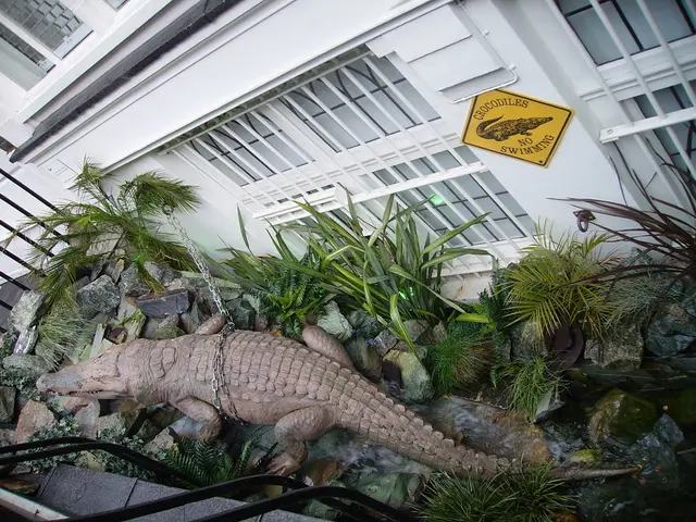 Africa50 exceeds $1.4 billion in managed assets, establishing itself as a formidable financial...