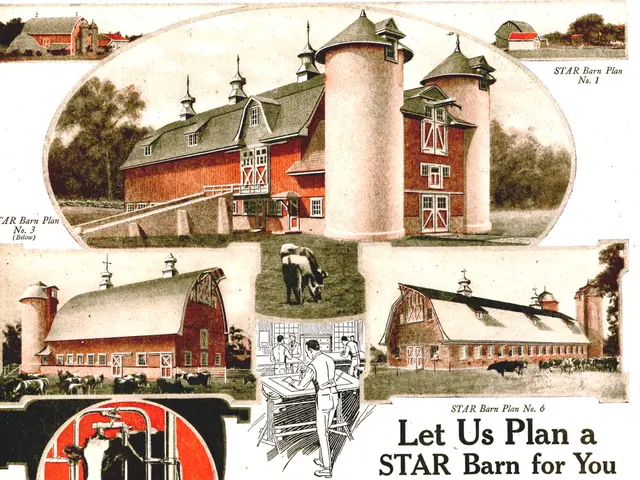 Seeking Applications: Position for Board Chair