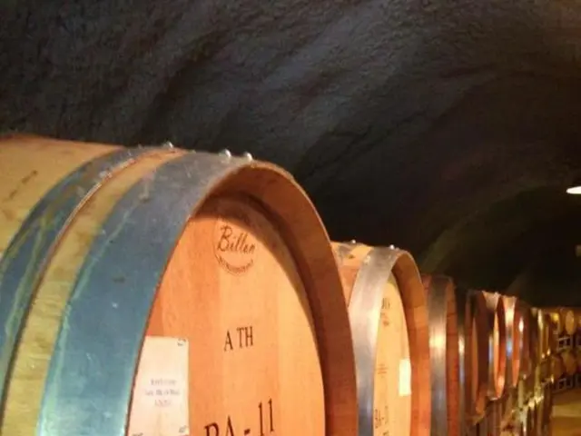 Tunnel Saukopf near Weinheim remains closed for an extended period