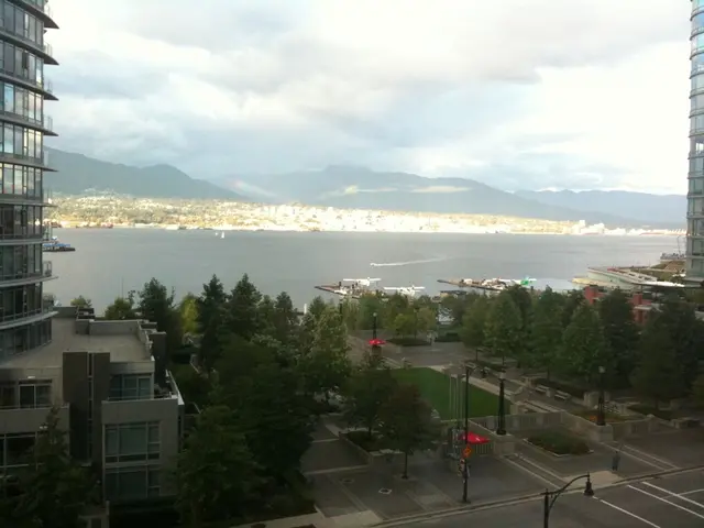 Business owners in Konaev are dissatisfied with the decisions being made by the local...