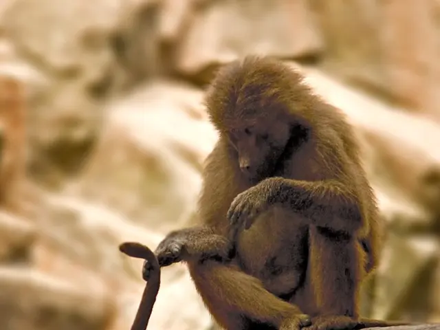 Underground USD to NGN Exchange Rate for August 16th, 2025