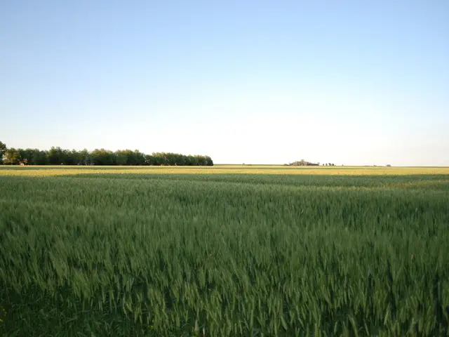 Ireland falls short of being labeled as a "truly wealthy" nation, as described by The Economist