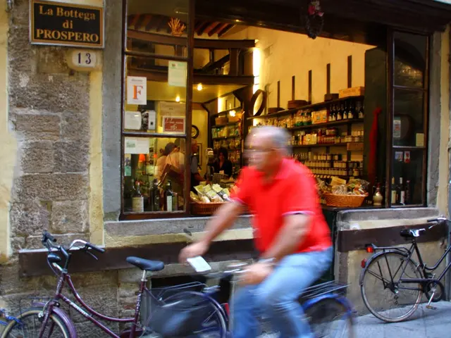 A Comprehensive Guide to Selecting the Ideal Legal Framework for Your Small Entrepreneurial Venture