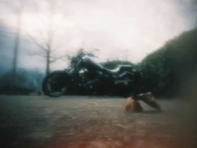 Police Pursuit Ends as Biker Evades Officers, Seeks Sanctuary in Forested Area