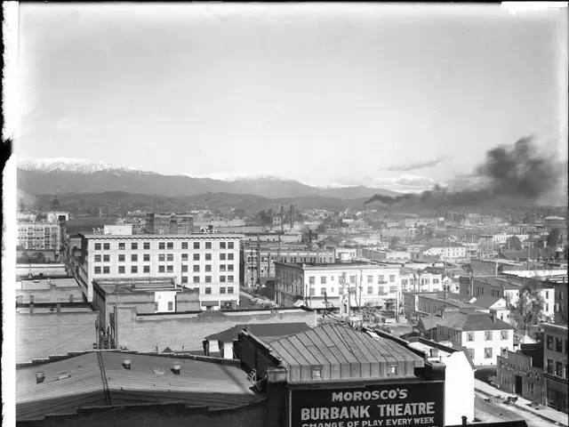 Customs Officials Reveal Preliminary Examination Data for Kiliani Festival's Entertainment Sector