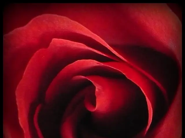 This Investment Fund Offers Extensive Diversification and Regular Quarterly Dividends