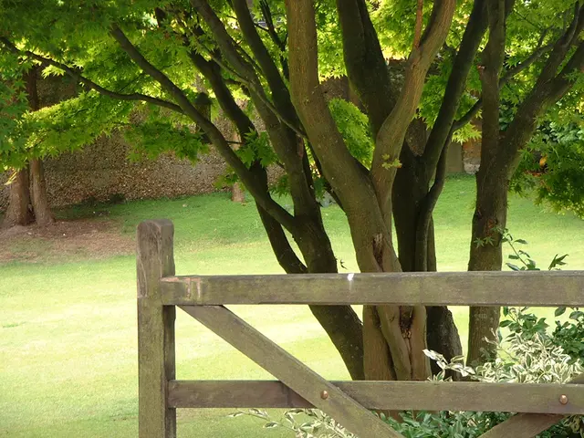 Green bonds ETF introduced by Lyxor.