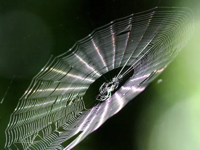 Regulatory reform discourse resurfaces once more