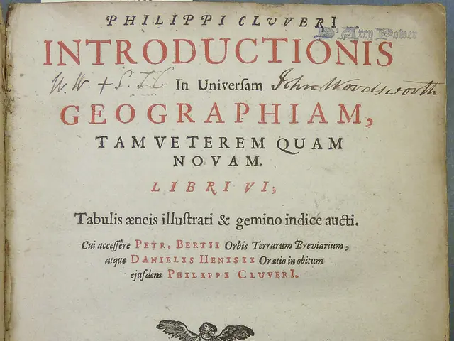 Insights into Deciphering an Initial Public Offering Document