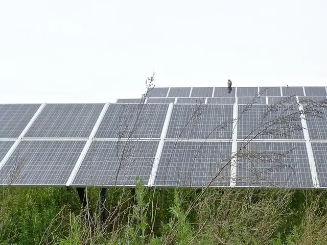 Solar energy: Frequent troubles with solar panels over 15 years, here's what you should watch out...