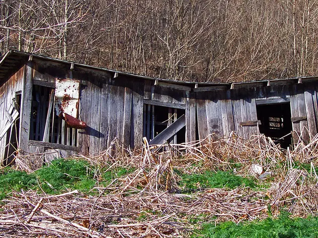 Projected Expansion of Mulch Film Industry at 8.9% Annual Growth Rate until 2034