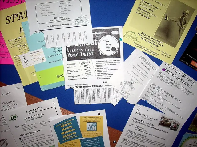 In this image we can see papers on the board.