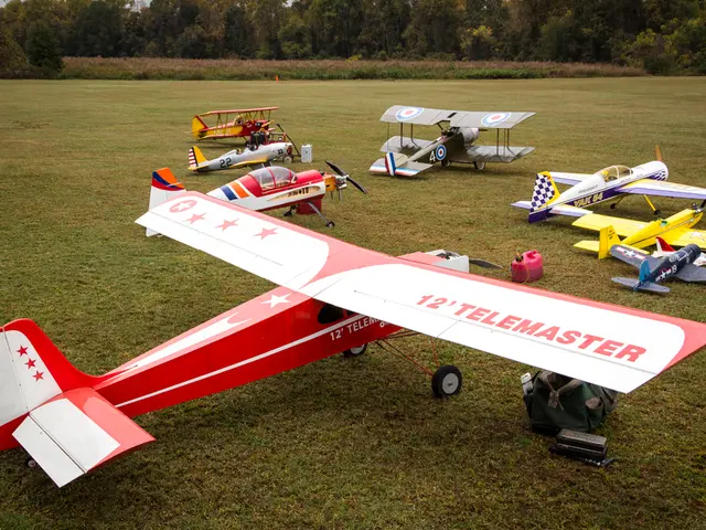 These are airplanes on the grass, these are trees.