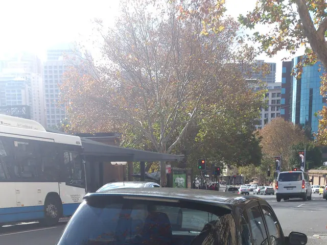 In this picture we can see few vehicles on the road, in the background we can find few traffic...