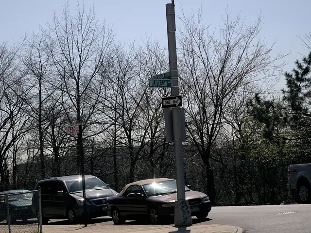 In the center of the image there are cars on the road. On the left side of the image there is a...