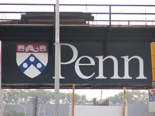 In this picture I can observe fence. There is a white color pole in this picture. I can observe...