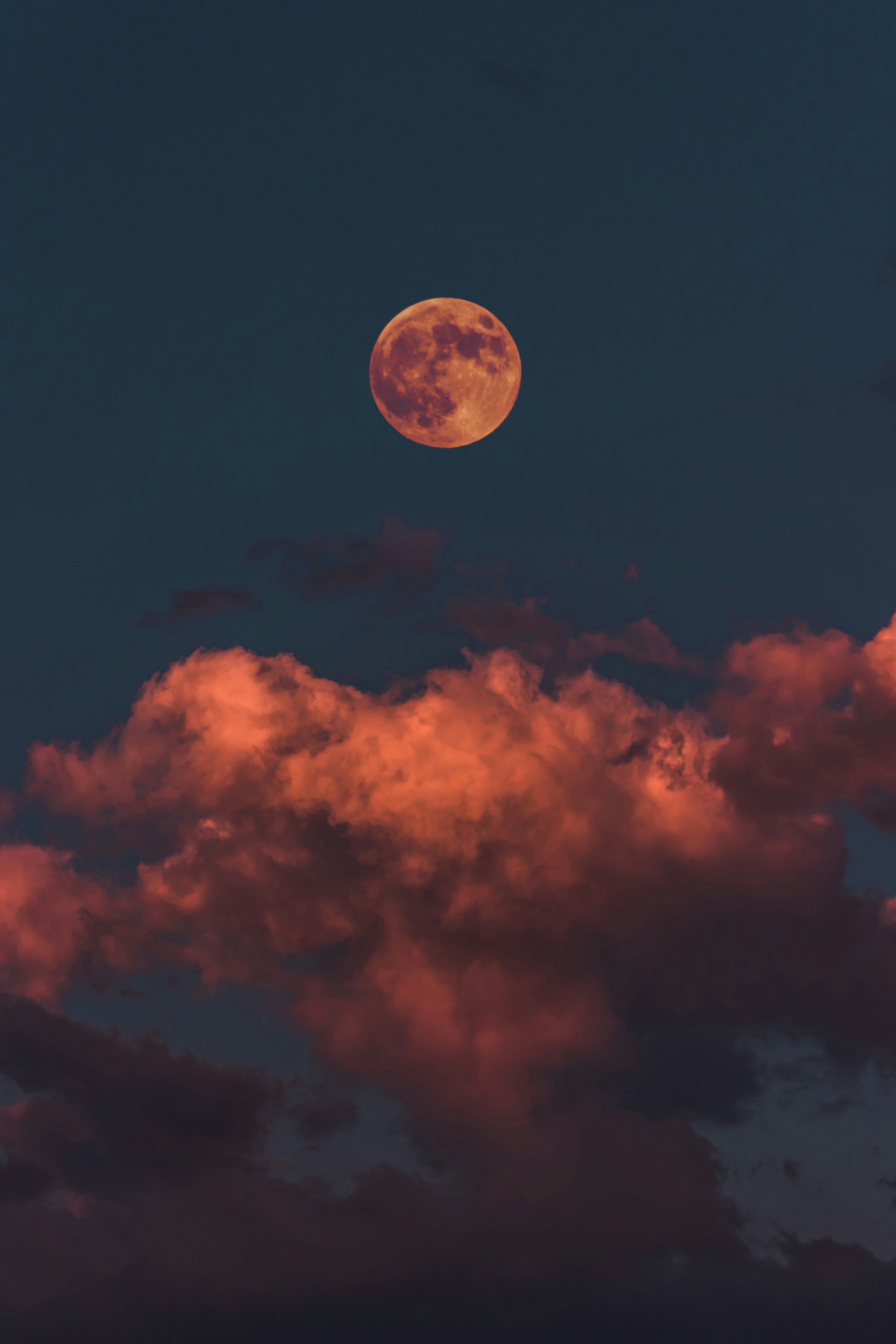Title: Suspect Arrested in Hack of High-Profile Business Venture Crypto analyst closely monitoring XRP (XRP) predicts Commerce coin will initiate a fresh climb, following its breakout from a bullish recovery pattern.